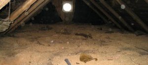 утепление потолка деревянного дома